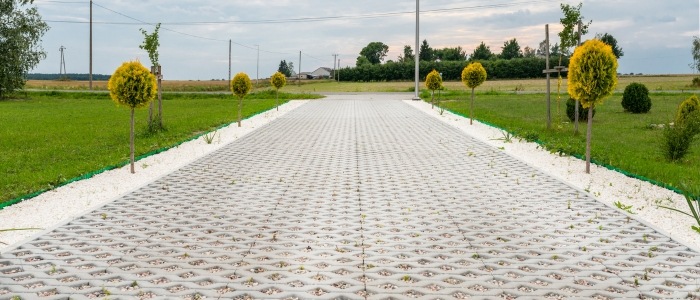 A paved walkway in a grassy field, bordered by trees, showcasing an eco-friendly driveway design.