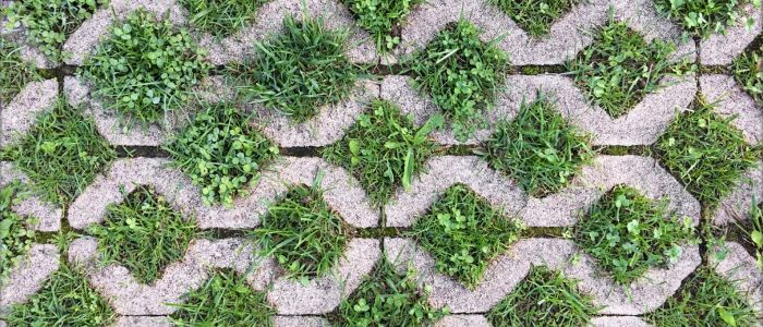 Grassy area featuring a patterned brick surface, illustrating eco-friendly driveway materials.